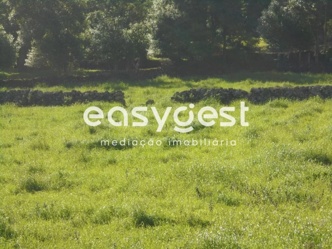 Terreno Agricola ou Rústico para Venda em Terra Chã Foto 16