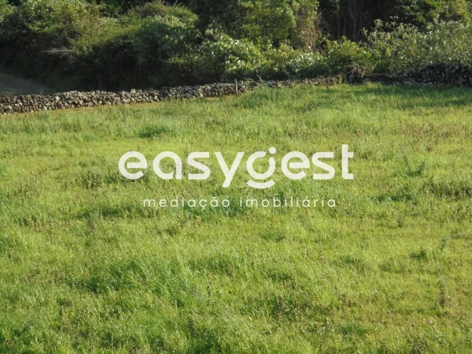 Terreno Agricola ou Rústico para Venda em Terra Chã Foto 17