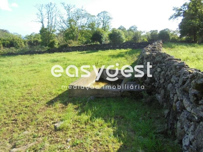 Terreno Agricola ou Rústico para Venda em Terra Chã Foto 18