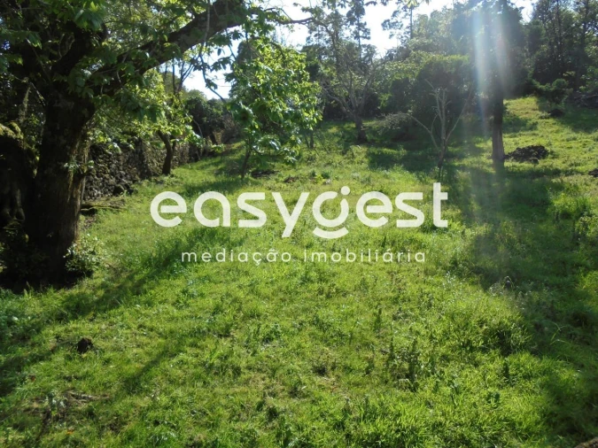 Terreno Agricola ou Rústico para Venda em Terra Chã Foto 19