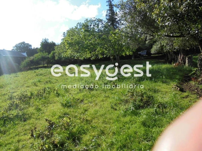 Terreno Agricola ou Rústico para Venda em Terra Chã Foto 21