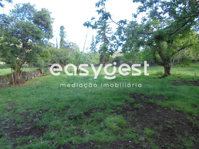 Terreno Agricola ou Rústico para Venda em Terra Chã Foto 27