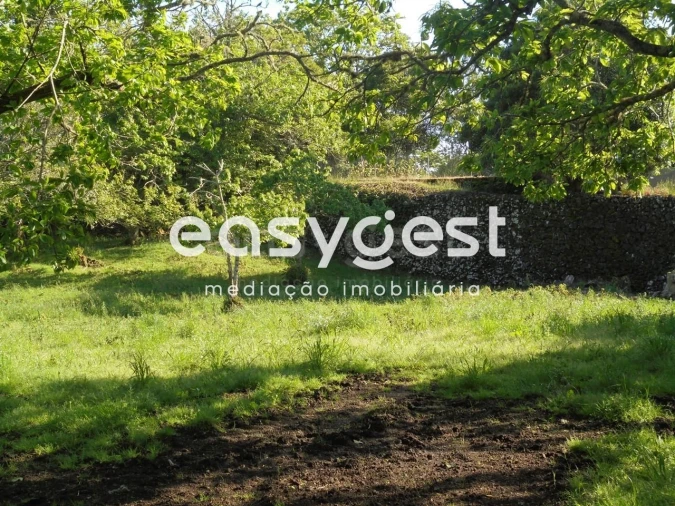 Terreno Agricola ou Rústico para Venda em Terra Chã Foto 30