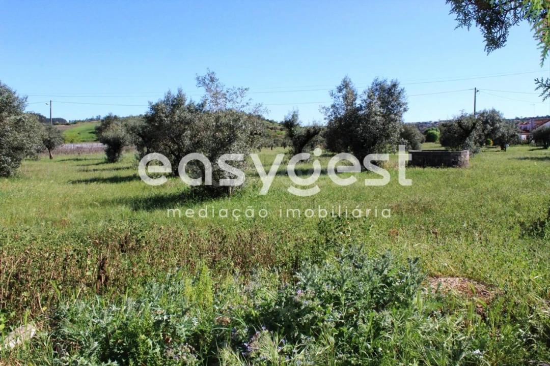 Moradia T7 para Venda em Atouguia Foto 37