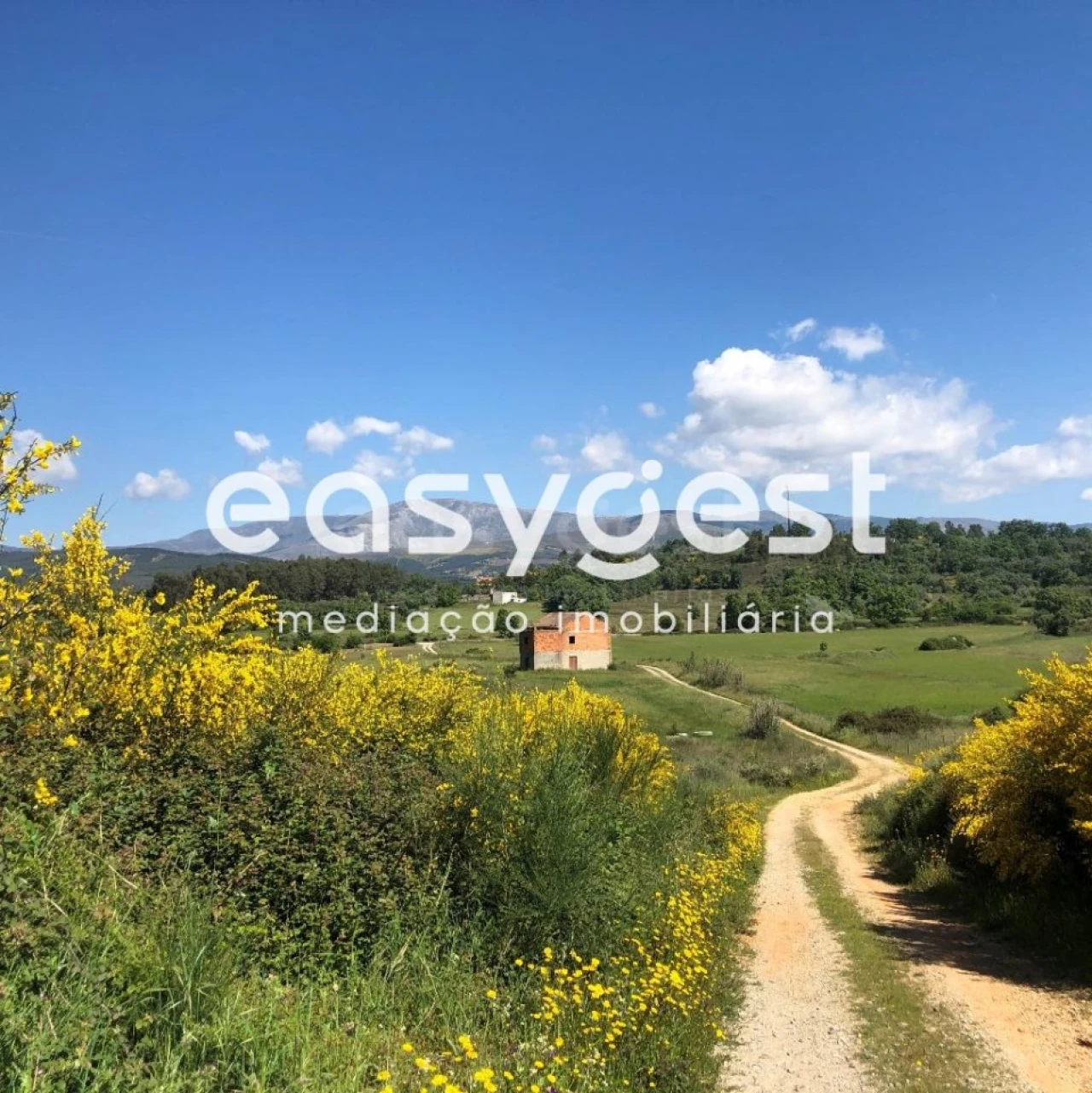 Terreno Agricola ou Rústico para Venda em Fundão, Valverde, Donas, A. Joanes, A. Nova Cabo Foto 2