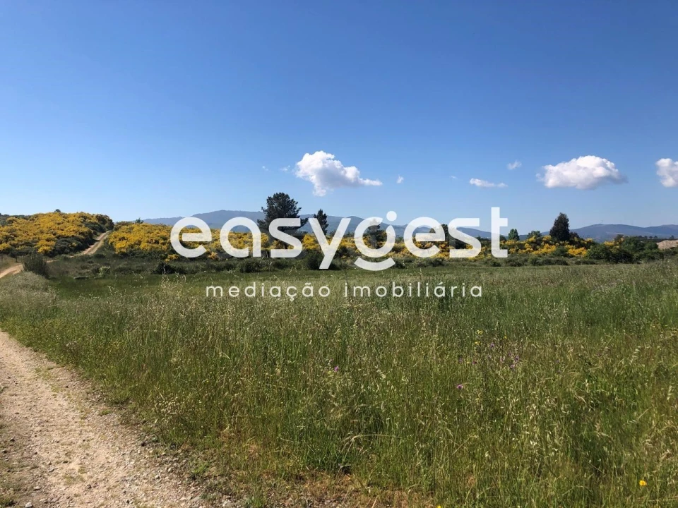 Terreno Agricola ou Rústico para Venda em Fundão, Valverde, Donas, A. Joanes, A. Nova Cabo Foto 4