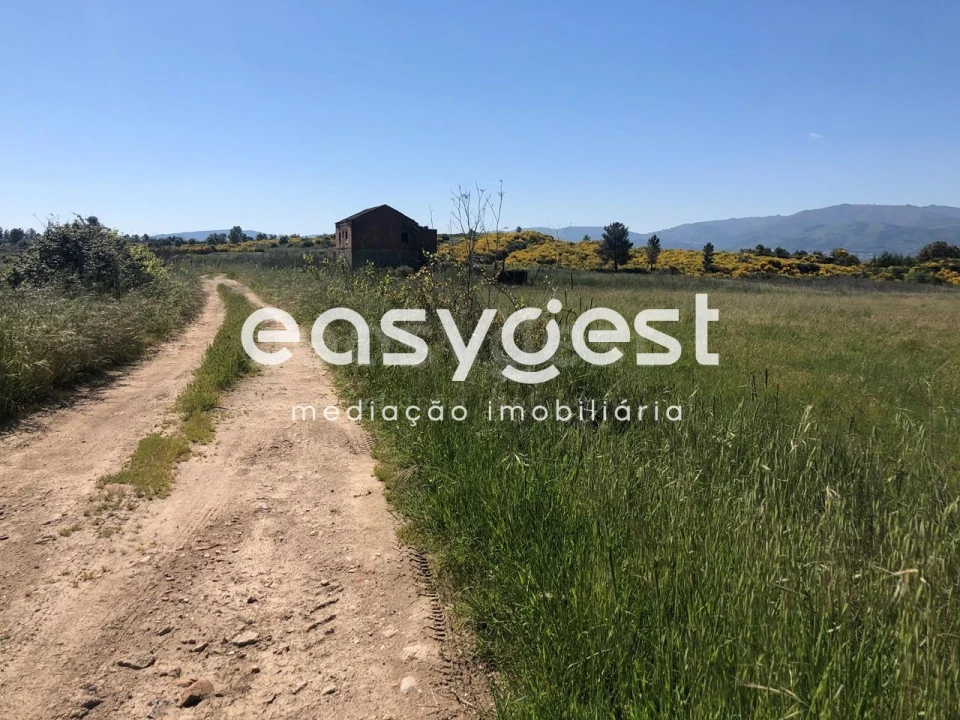 Terreno Agricola ou Rústico para Venda em Fundão, Valverde, Donas, A. Joanes, A. Nova Cabo Foto 8