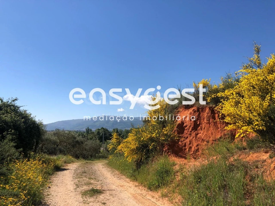 Terreno Agricola ou Rústico para Venda em Fundão, Valverde, Donas, A. Joanes, A. Nova Cabo Foto 9