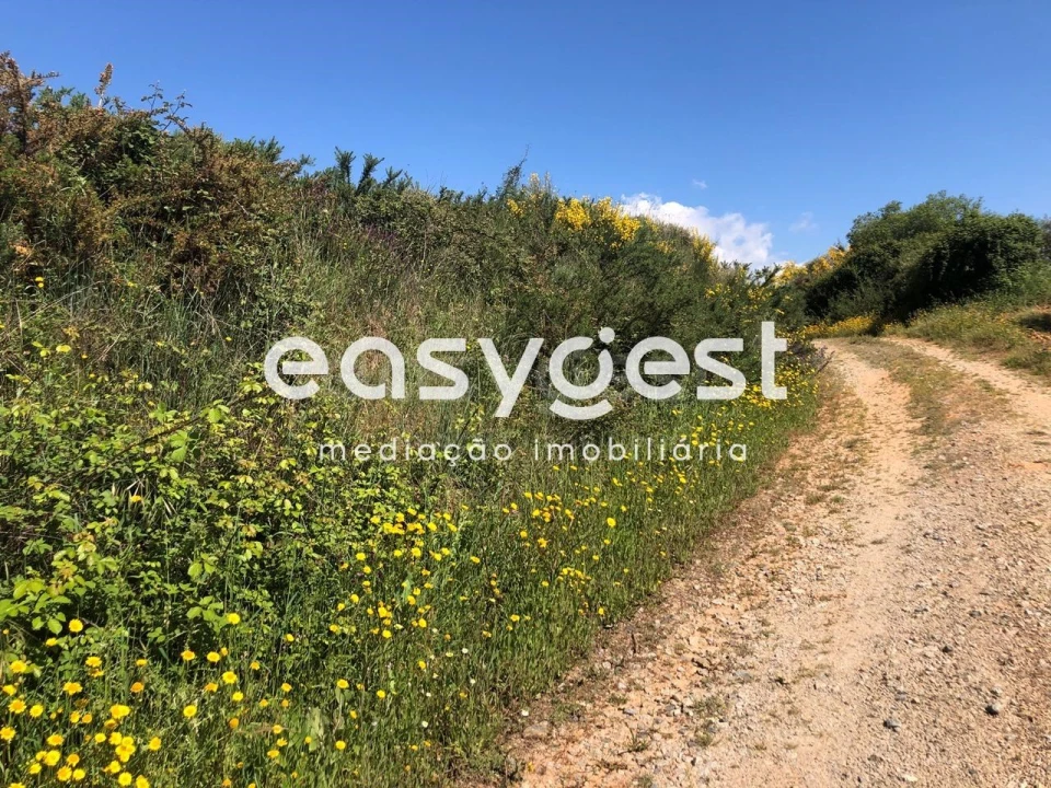 Terreno Agricola ou Rústico para Venda em Fundão, Valverde, Donas, A. Joanes, A. Nova Cabo Foto 10