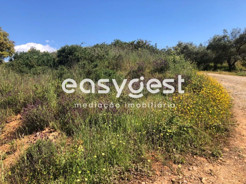 Terreno Agricola ou Rústico para Venda em Fundão, Valverde, Donas, A. Joanes, A. Nova Cabo Foto 14