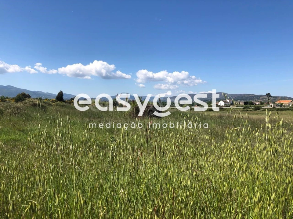 Terreno Agricola ou Rústico para Venda em Fundão, Valverde, Donas, A. Joanes, A. Nova Cabo Foto 15
