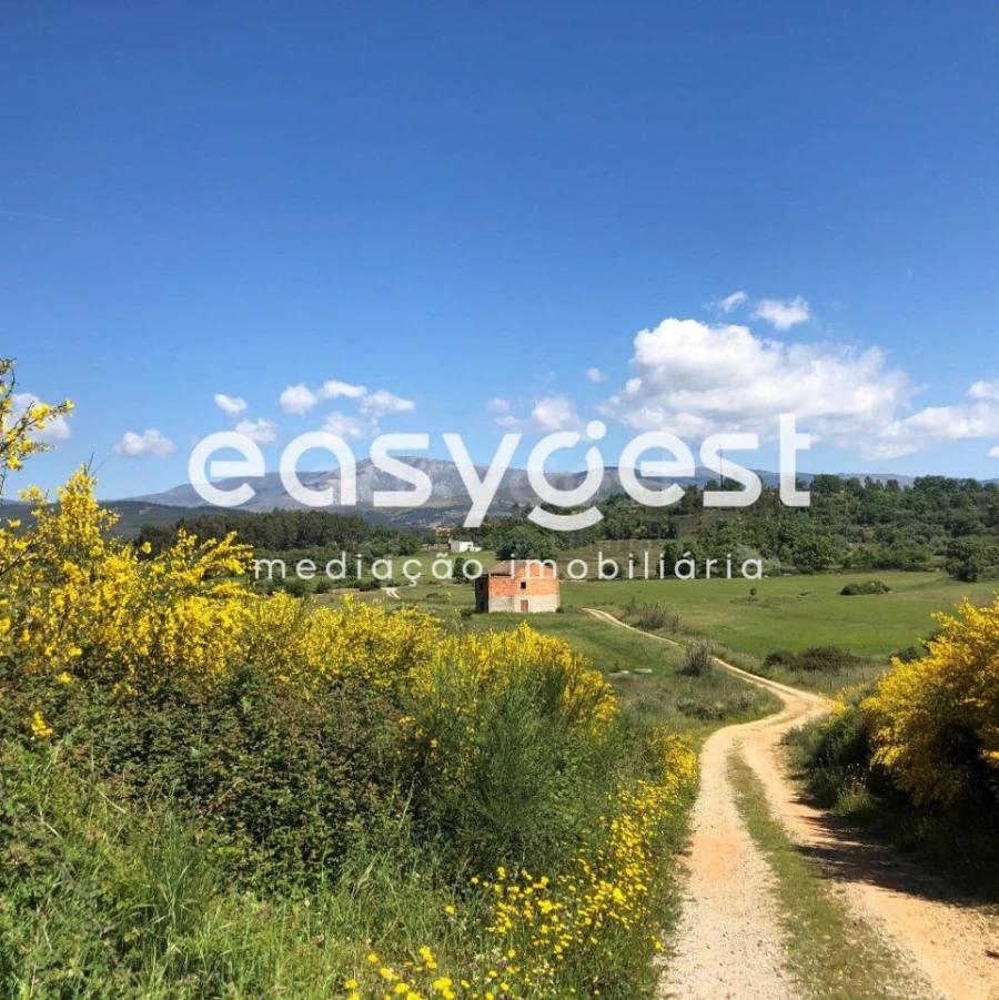 Terreno Agricola ou Rústico para Venda em Fundão, Valverde, Donas, A. Joanes, A. Nova Cabo Foto 2