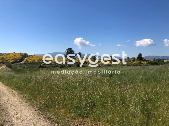 Terreno Agricola ou Rústico para Venda em Fundão, Valverde, Donas, A. Joanes, A. Nova Cabo Foto 4