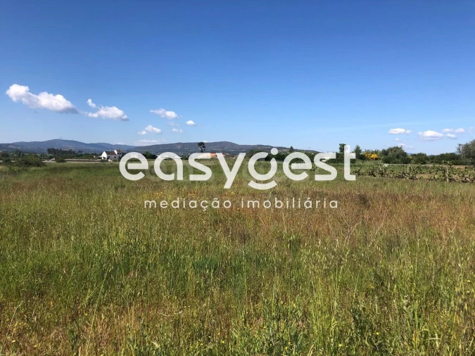 Terreno Agricola ou Rústico para Venda em Fundão, Valverde, Donas, A. Joanes, A. Nova Cabo Foto 7