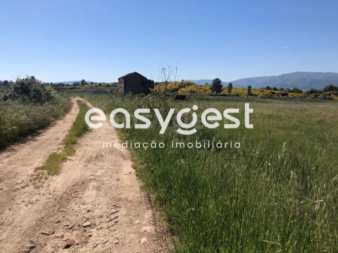Terreno Agricola ou Rústico para Venda em Fundão, Valverde, Donas, A. Joanes, A. Nova Cabo Foto 8