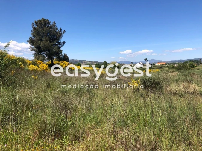 Terreno Agricola ou Rústico para Venda em Fundão, Valverde, Donas, A. Joanes, A. Nova Cabo Foto 13