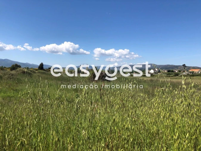 Terreno Agricola ou Rústico para Venda em Fundão, Valverde, Donas, A. Joanes, A. Nova Cabo Foto 15