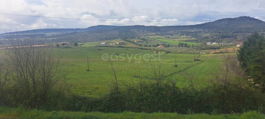 Terreno para Venda em Mogadouro, Valverde, Vale de Porco e Vilar de Rei Foto 5