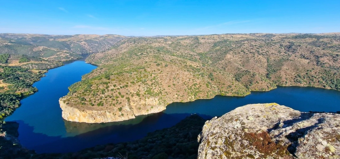 Terreno para Venda em Mogadouro, Valverde, Vale de Porco e Vilar de Rei Foto 12