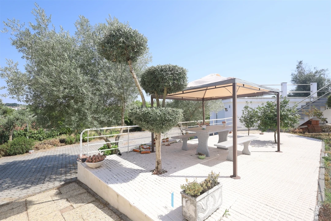 Moradia T5 para Venda em Mangualde, Mesquitela e Cunha Alta Foto 22