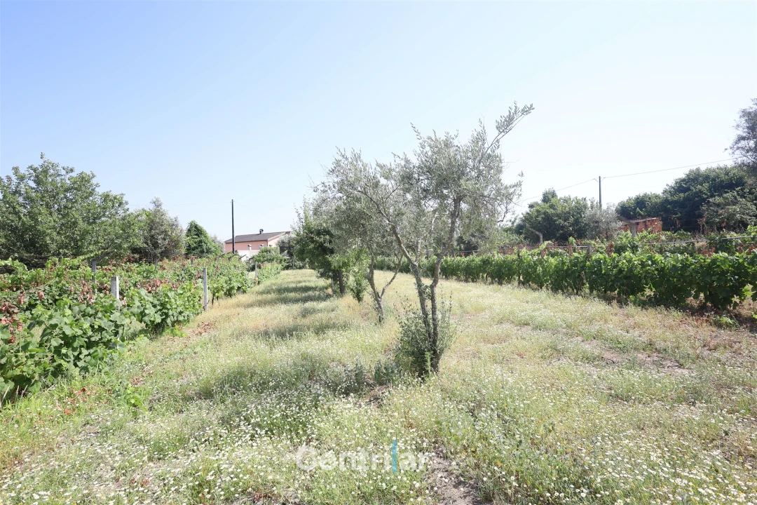 Moradia T5 para Venda em Mangualde, Mesquitela e Cunha Alta Foto 18