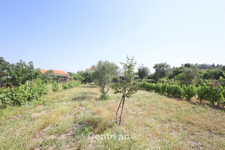 Moradia T5 para Venda em Mangualde, Mesquitela e Cunha Alta Foto 80