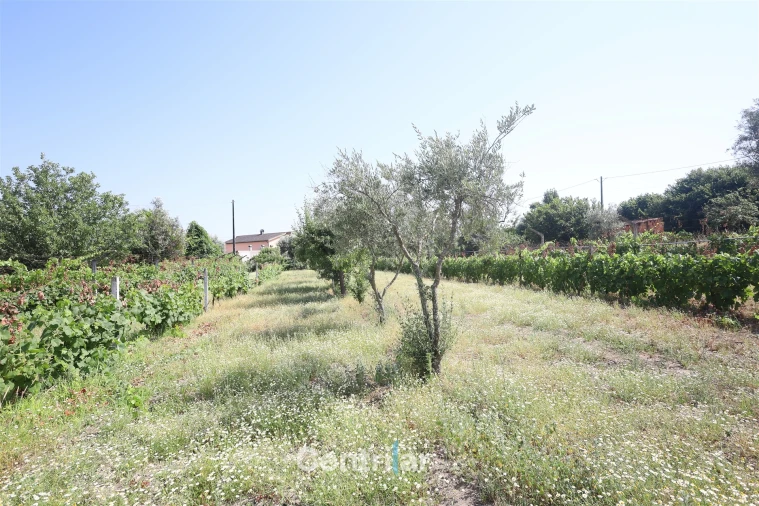 Moradia T5 para Venda em Mangualde, Mesquitela e Cunha Alta Foto 18