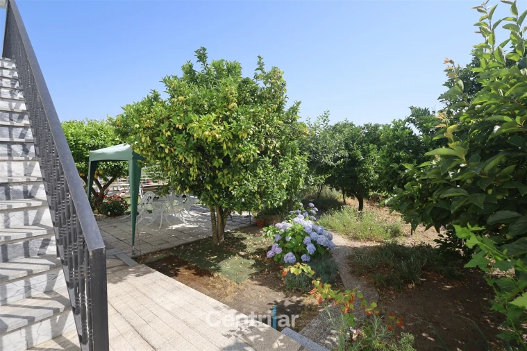 Moradia T5 para Venda em Mangualde, Mesquitela e Cunha Alta Foto 10