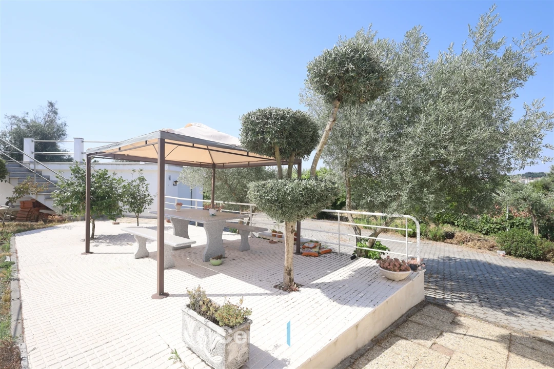 Moradia T5 para Venda em Mangualde, Mesquitela e Cunha Alta Foto 86