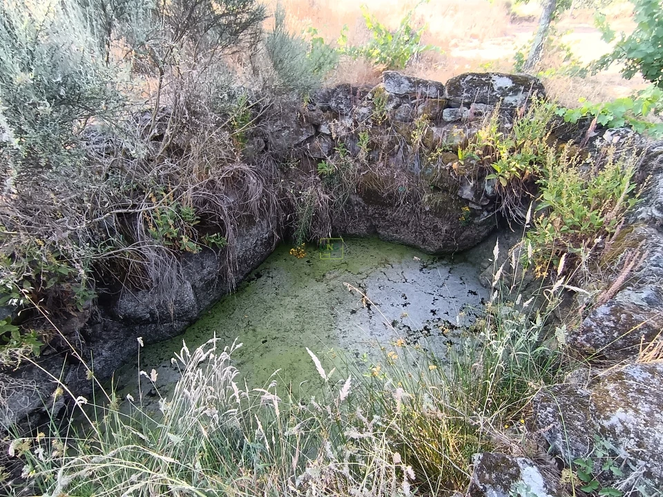 Terreno Agricola ou Rústico para Venda em Salvador Foto 19