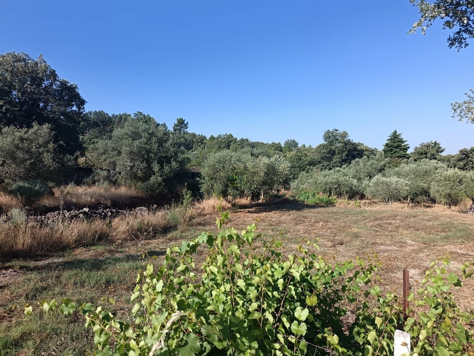 Terreno Agricola ou Rústico para Venda em Salvador Foto 8