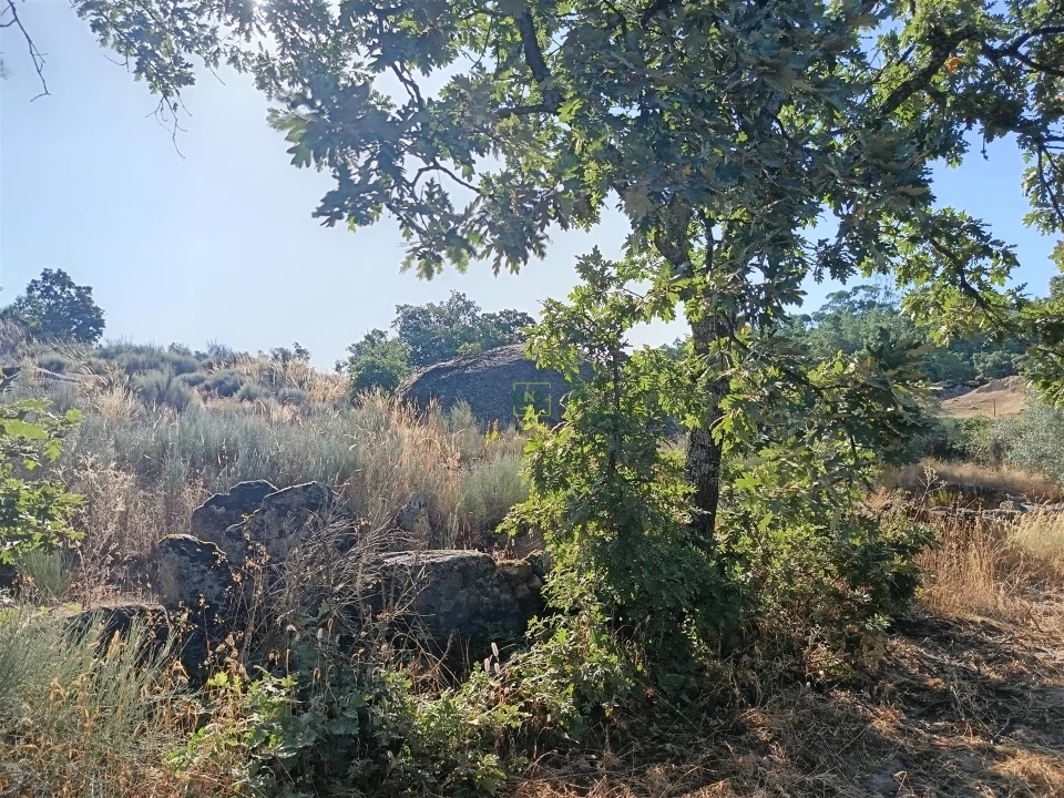 Terreno Agricola ou Rústico para Venda em Salvador Foto 9