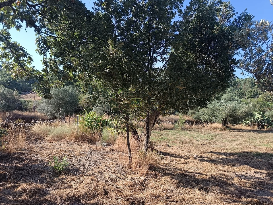 Terreno Agricola ou Rústico para Venda em Salvador Foto 11