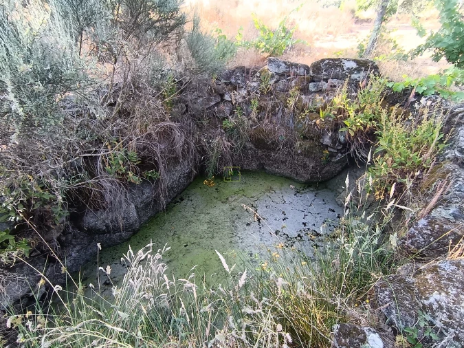 Terreno Agricola ou Rústico para Venda em Salvador Foto 20