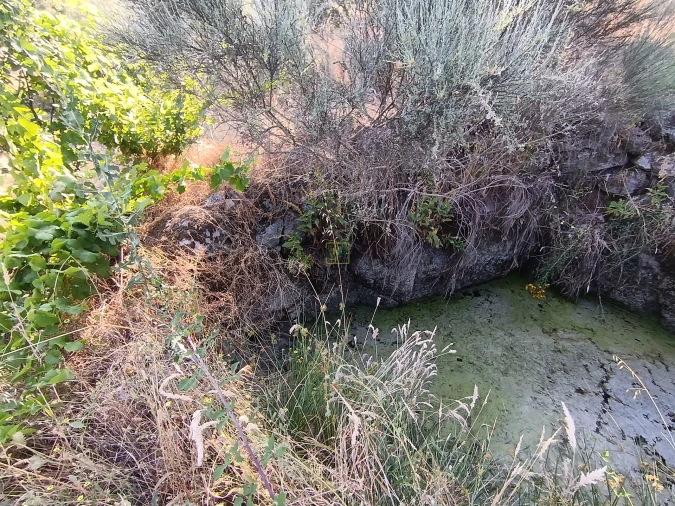 Terreno Agricola ou Rústico para Venda em Salvador Foto 21