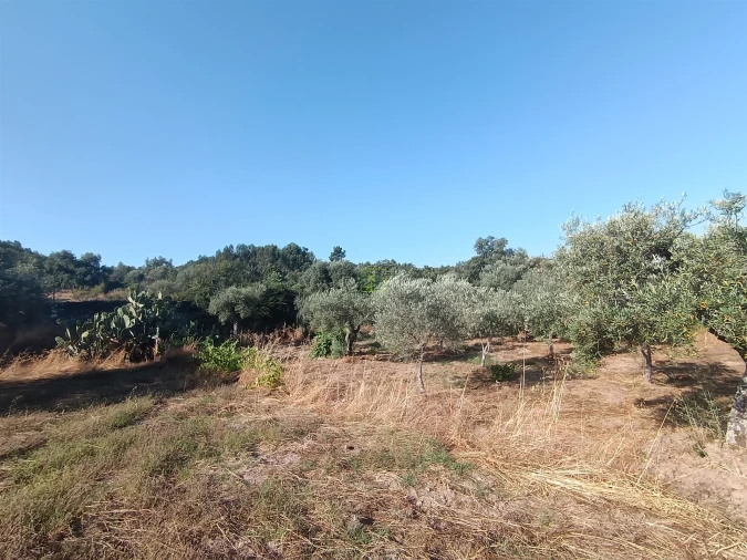 Terreno Agricola ou Rústico para Venda em Salvador Foto 6