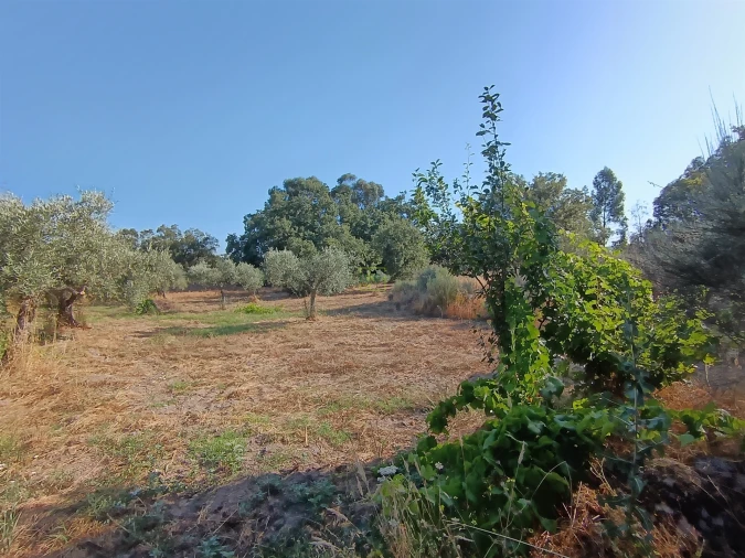 Terreno Agricola ou Rústico para Venda em Salvador Foto 23