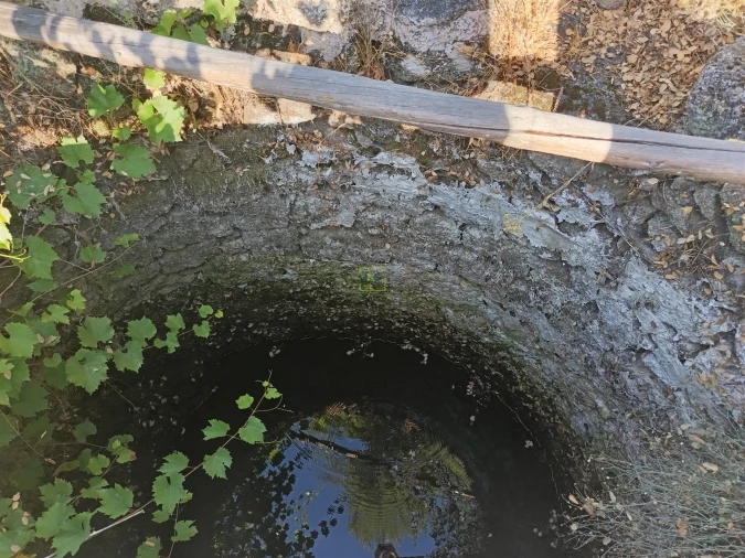 Terreno Agricola ou Rústico para Venda em Salvador Foto 5