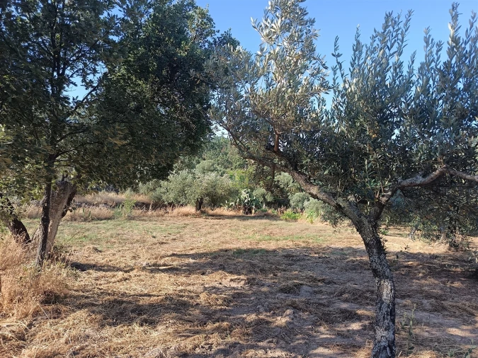 Terreno Agricola ou Rústico para Venda em Salvador Foto 12