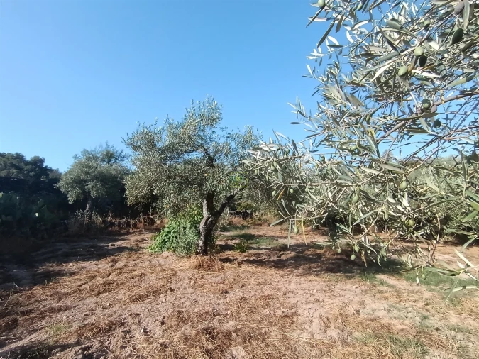 Terreno Agricola ou Rústico para Venda em Salvador Foto 1