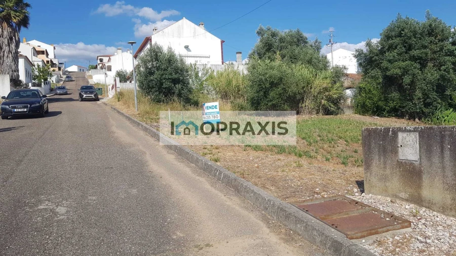 Terreno para Venda em Chamusca e Pinheiro Grande Foto 1