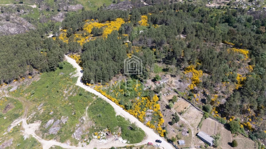 Terreno para Venda em Telões