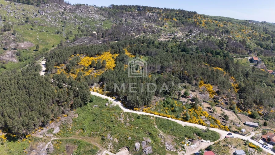 Terreno para Venda em Telões Foto 3