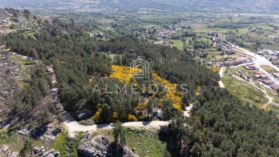 Terreno para Venda em Telões Foto 4