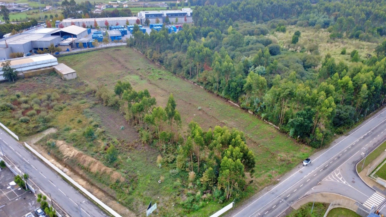 Terreno para Venda em Folgosa Foto 5