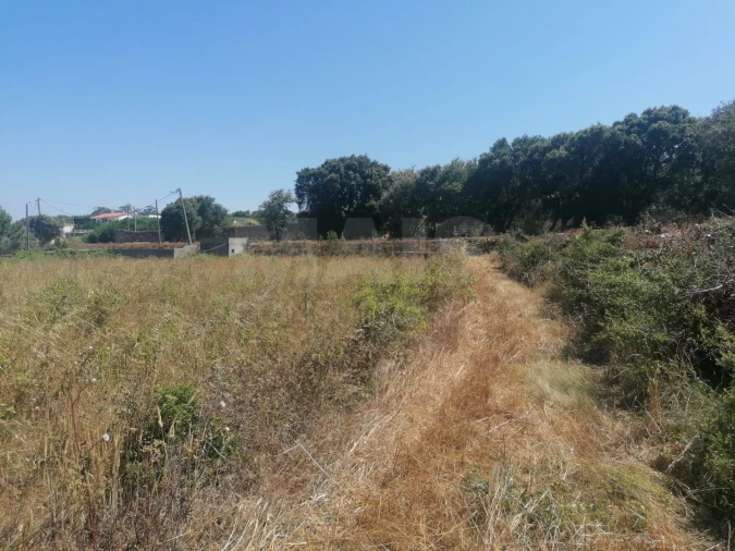 Terreno para Venda em Santo Quintino Foto 2