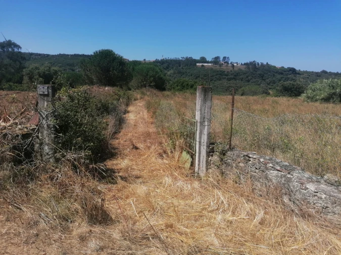 Terreno para Venda em Santo Quintino Foto 4