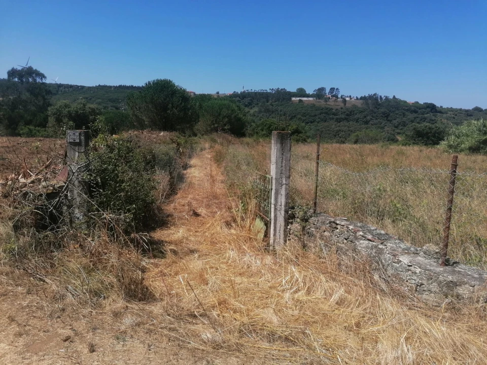 Terreno para Venda em Santo Quintino Foto 2