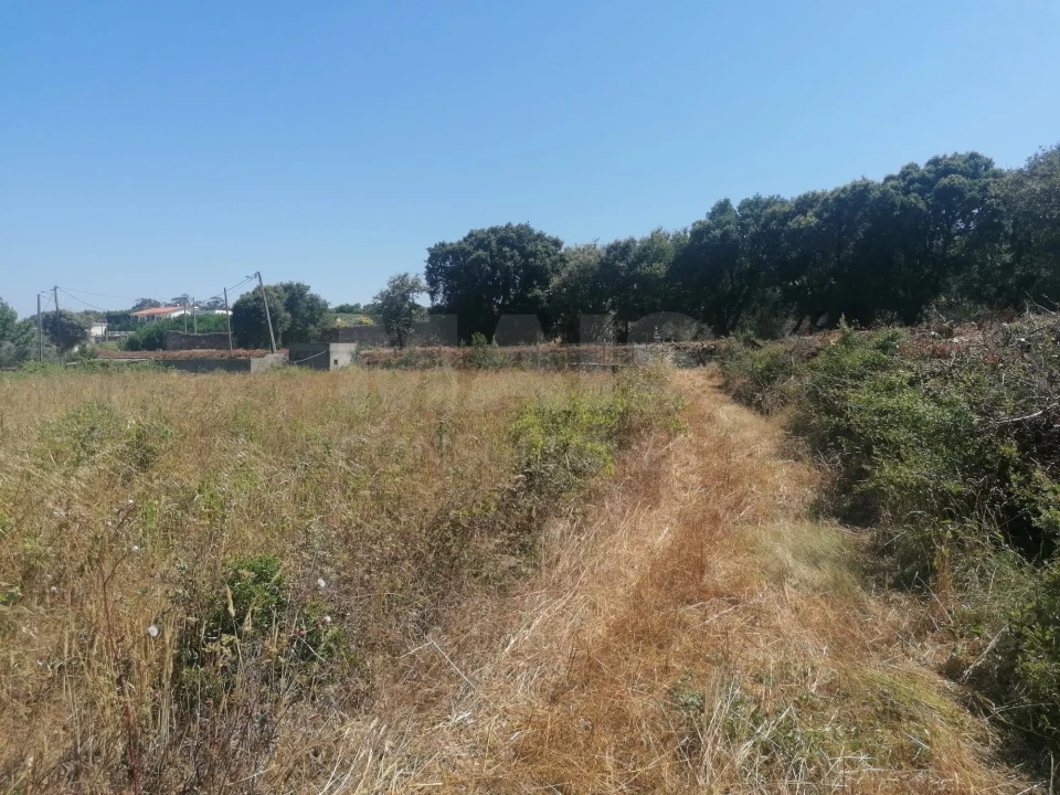 Terreno para Venda em Santo Quintino Foto 3