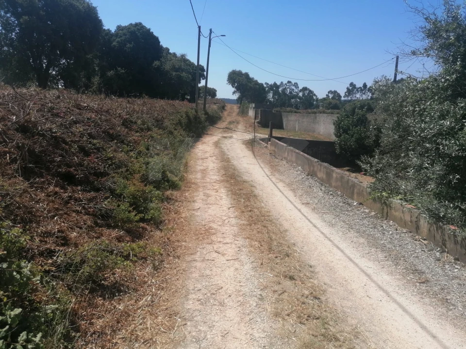 Terreno para Venda em Santo Quintino Foto 6